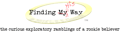 FindingMyNoHisWayLogo