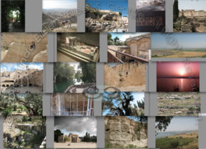 Too many photos!