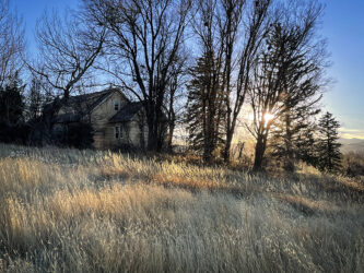 Peaceful scene near a pond, but without the pond, near Arvada/Westminster CO © 2021 L. Eilee S. George