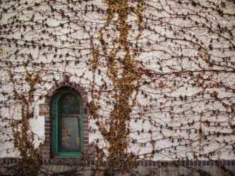 A building at Denver Botanical Gardens is patterened w vines © 2014 L. Eilee S. George