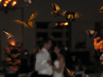 Family wedding with natural blur and bokeh effect © 2010 L. Eilee S. George